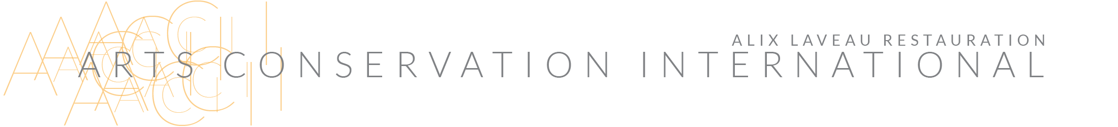 Arts Conservation International